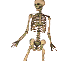 Skeleton - Liquidator