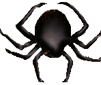 Spider - Liquidator