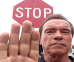 Level 2: Stop Signs - Neal.fun Games
