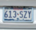 Level 8: License Plate - Neal.fun Games