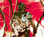Collection Manual (2/3) - Metal Gear Solid Δ: Snake Eater