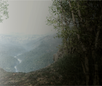 Save Images (1/2) - Metal Gear Solid Δ: Snake Eater