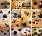 Level 12: Muffins? - Neal.fun Games