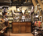 Evolution Store - Big City Adventure: New York City