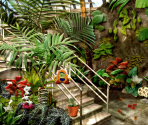 Botanical Gardens - Big City Adventure: Sydney, Australia