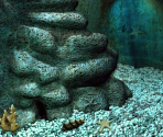 Sydney Aquarium - Big City Adventure: Sydney, Australia