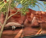 Sydney Wildlife World - Big City Adventure: Sydney, Australia