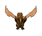 Harpy