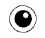 Executable Icon