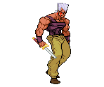 Jean Pierre Polnareff (Anubis Dual-Wielding) - JoJo's Bizarre Adventure
