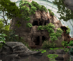 Jardin des Plantes - Big City Adventure: Paris