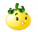 Solar Tomato