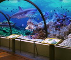 L'Aquarium de Barcelona - Big City Adventure: Barcelona