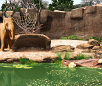 Barcelona Zoo - Big City Adventure: Barcelona