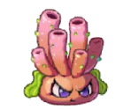 Bubble Cholla