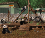 Shanghai Zoo - Big City Adventure: Shanghai