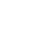 Shop Icons - Octopath Traveler