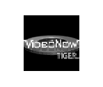 Startup - VideoNow