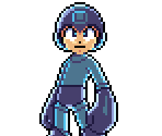 Miscellaneous - Rockman Bug Sweeper