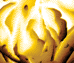 Battle Backgrounds - Possessioner