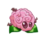 Brain Stem