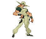 Hol Horse