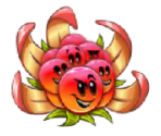 BoomBerry