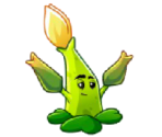 Sour Shot