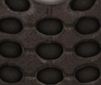 Cell Phone