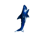 Shark - Toy Story