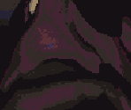 Demoman - Capture the Intelligence