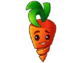 Intensive Carrot