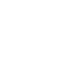 Control Prompts
