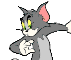 Tom - Tom and Jerry in Cat-a-pult