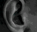 Ears