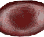 Eyes