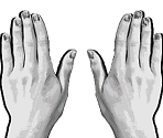 Hands - No, I'm not a Human