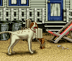 Crawley's Air Field - Art of Fighting 2