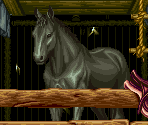 National Park - Art of Fighting 2