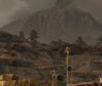 Chapter Banners