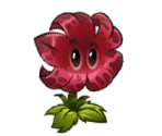 Meteor Flower