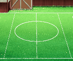 Fields (Overhead View) - Backyard Soccer '98