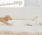Move Menu - Nintendogs