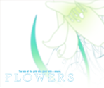 Eye Catches (Hiver) - Flowers