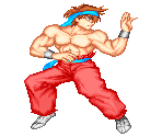 Jin - Martial Champion