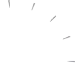 Race Display Icons