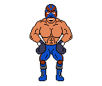 Masked Muscle (NES-Style) - Punch-Out!! Customs