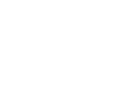 Logo - Punishing Gray Raven