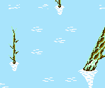 Lake San - The Black Bass