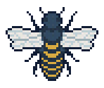 Tier 1 - Apico